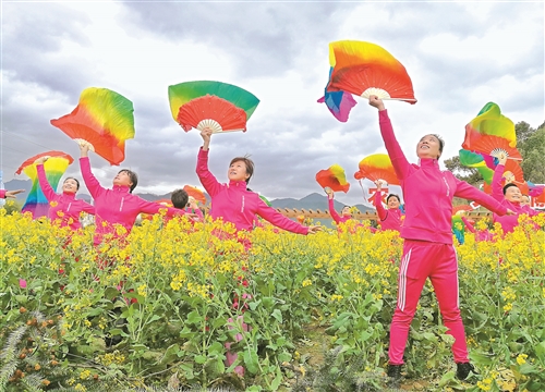 仙居油菜花节图片