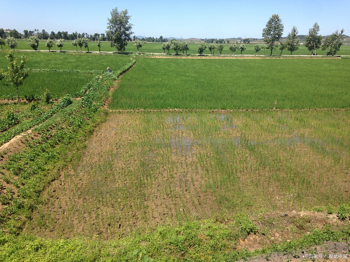 撒播- 热门商品专区