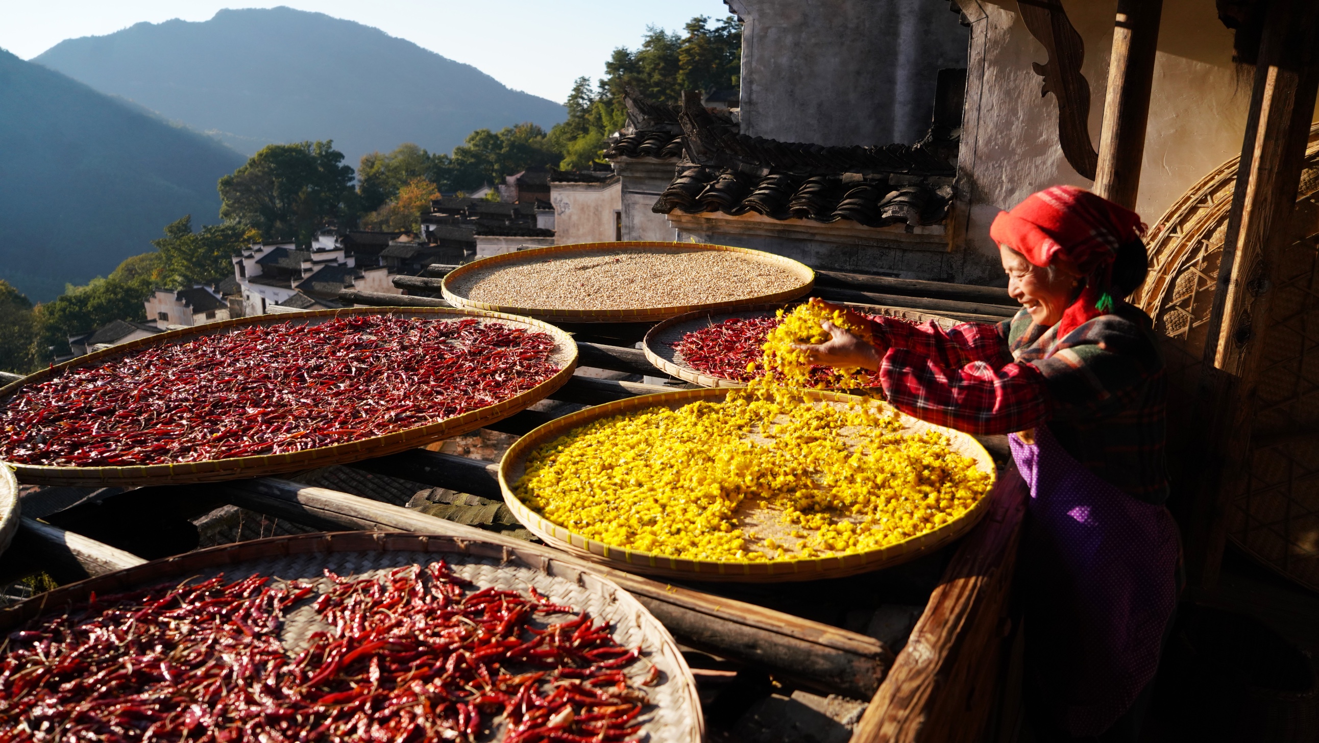 "晒秋大妈"的幸福生活(9)