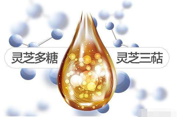 灵芝三萜 灵芝总三萜