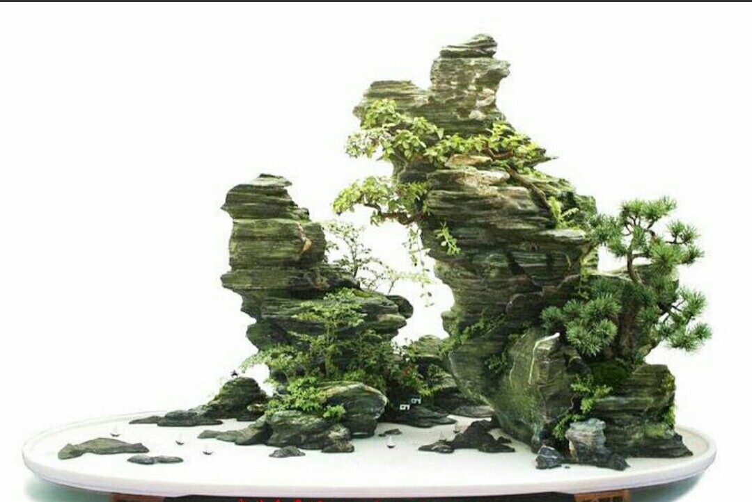 气势非凡的山石盆景,充满着诗情画意!