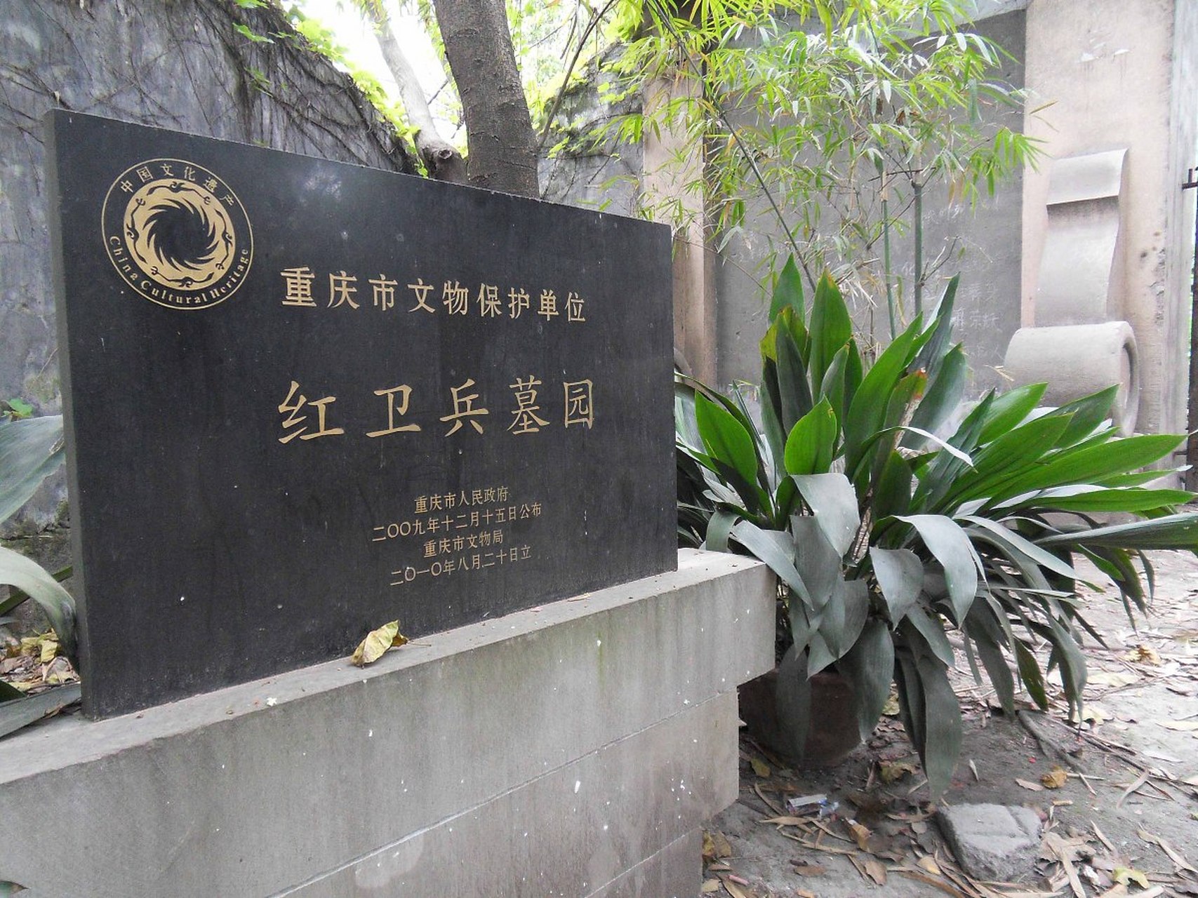 1967年,在重庆发生的杨家坪武斗,是全国最大一场武斗.