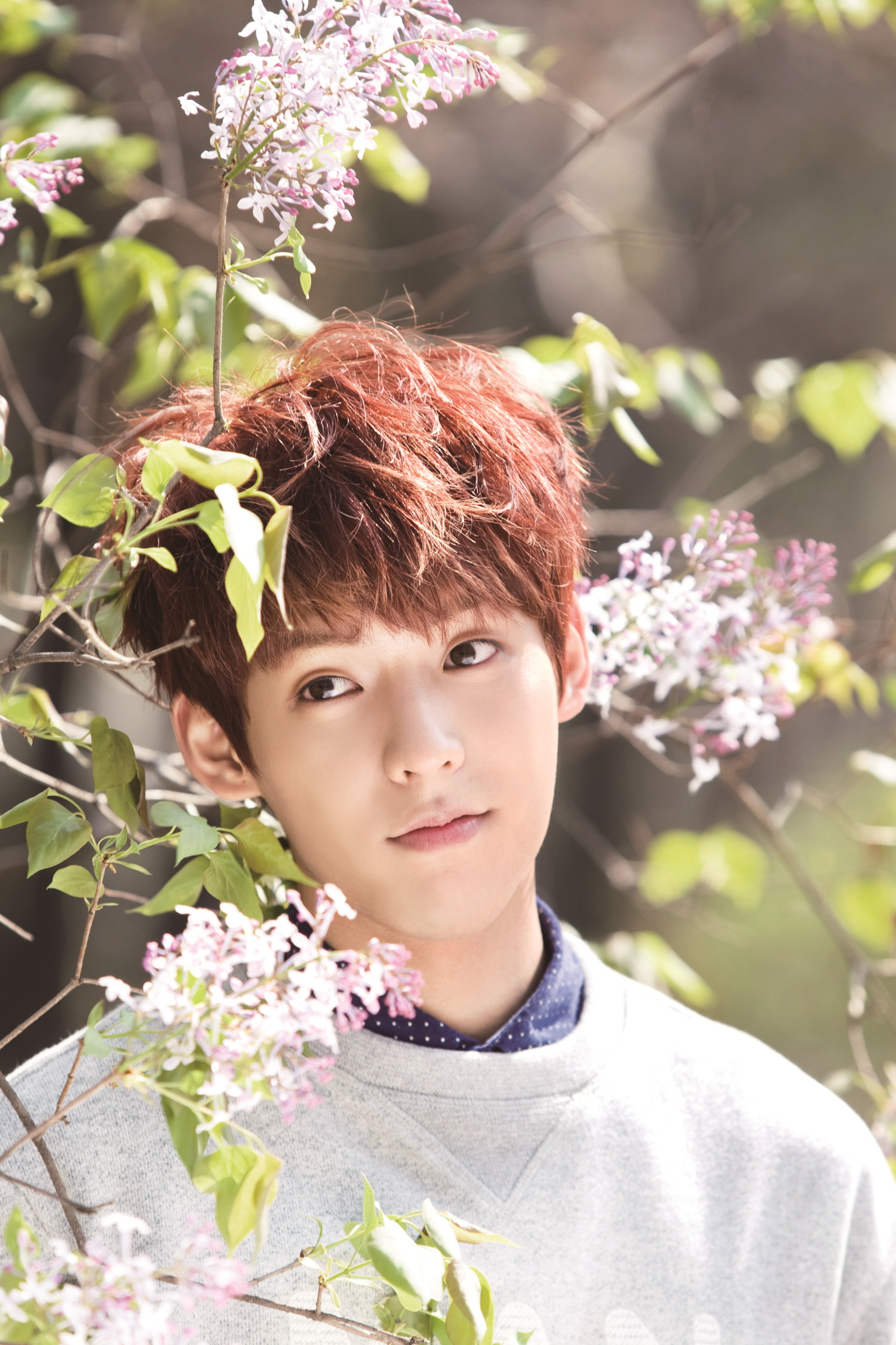 韩国男神爱豆btob的高清美照合集!