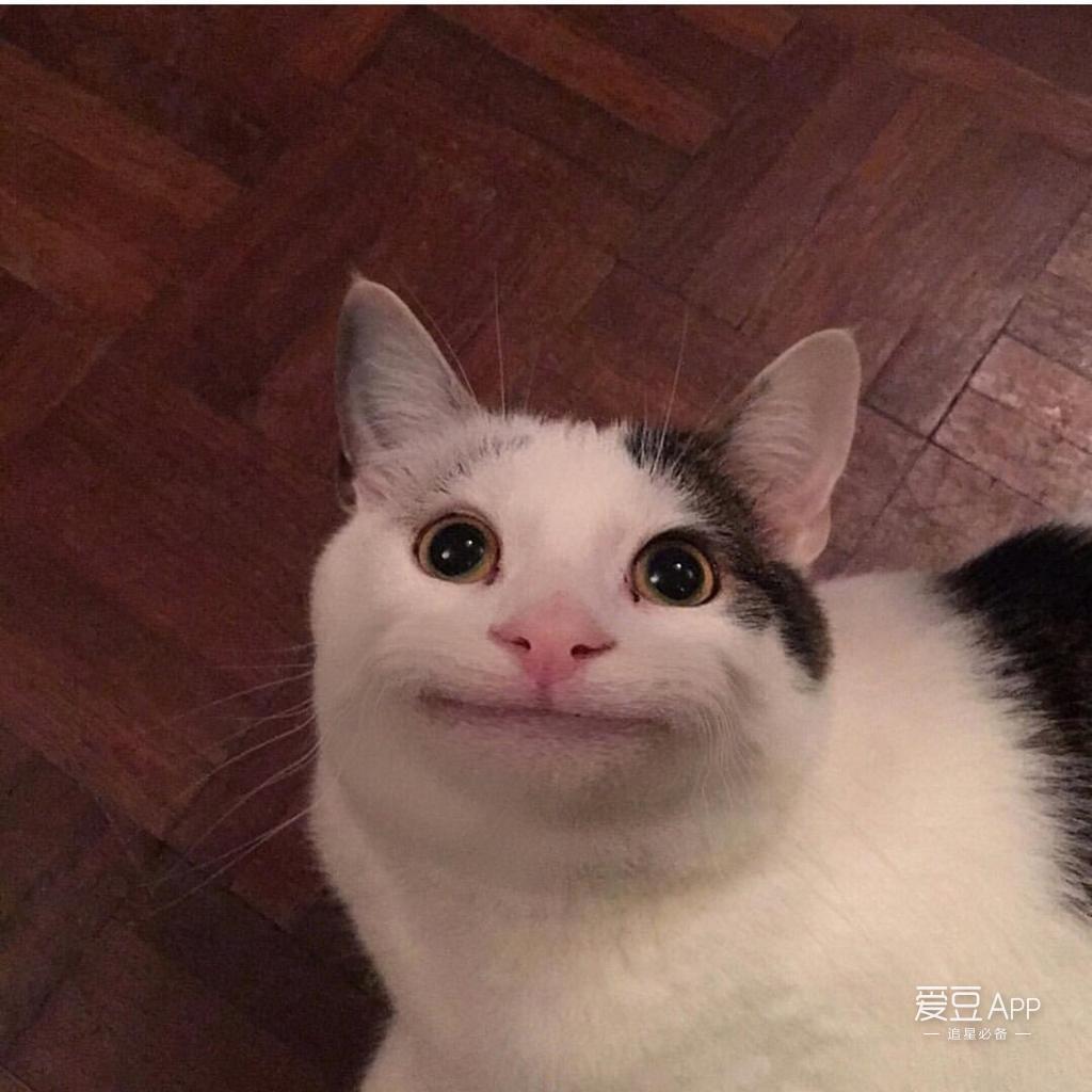 tumblr官推搞倩上线 微笑喵的人形就是钟大