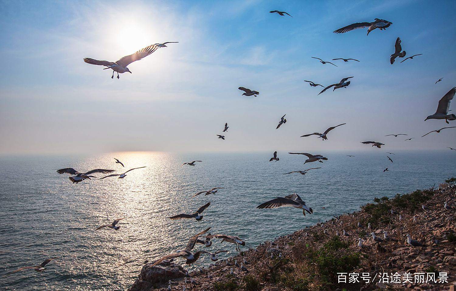 山东威海旅游景点(山东威海旅游景点攻略)