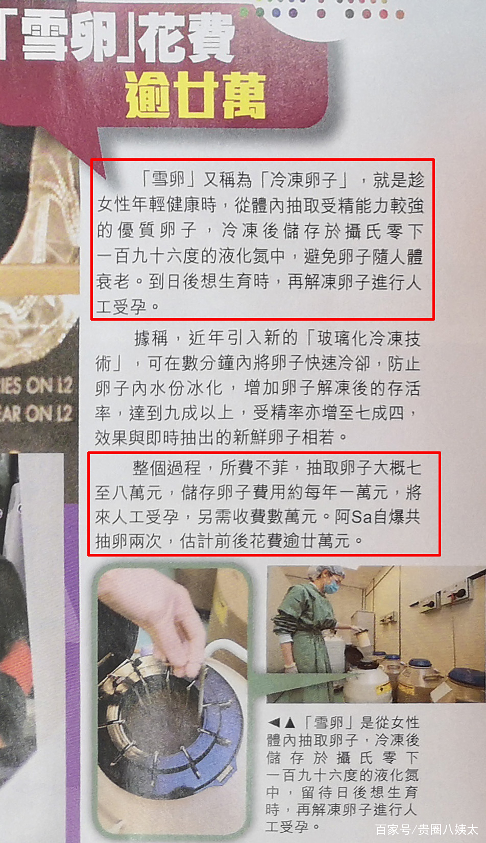 冷冻卵子费用大概多少的简单介绍