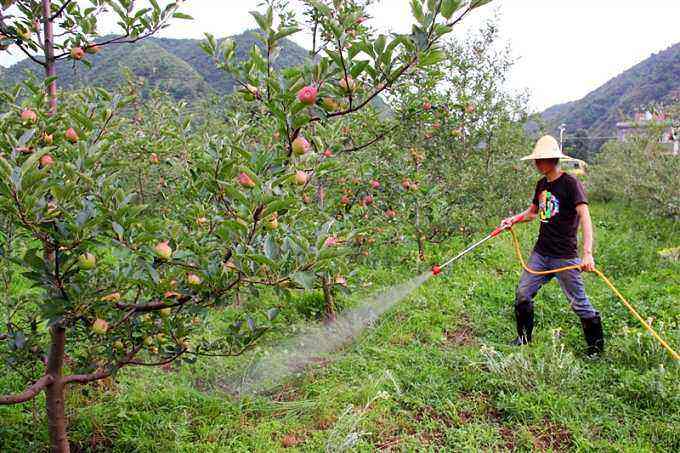 土壤施肥不少就是肥力跟不上怎么办