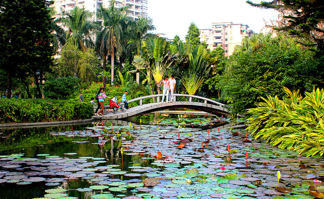上海最早的城市花园——黄浦公园,你了解吗?