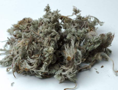 开春挖野菜,比起荠菜,更受喜欢的还是白蒿,蒸一蒸就能吃,真香