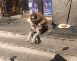 搞笑gif:妹子,别以为我不知道你喝的是可乐!看这身段