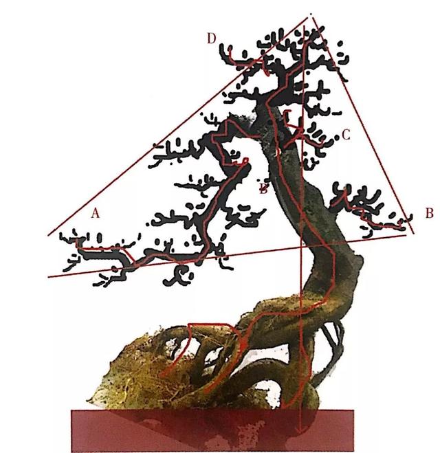 一张盆景设计图令我扎进盆景世界里,原来盆景可以这样玩