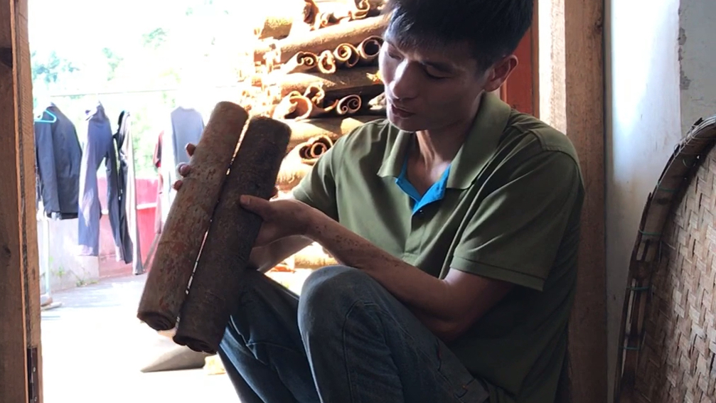 肉桂是不是分很多种肉桂,有什么不一样,在我们这里肉桂只有一种