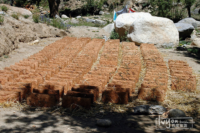 房子漂亮的岗巴夏寺,非常美丽的吞巴.
