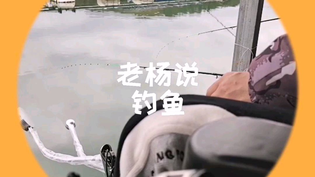 鱼探怎么看?泥鳅怎么挂?这个视频里都能学到!