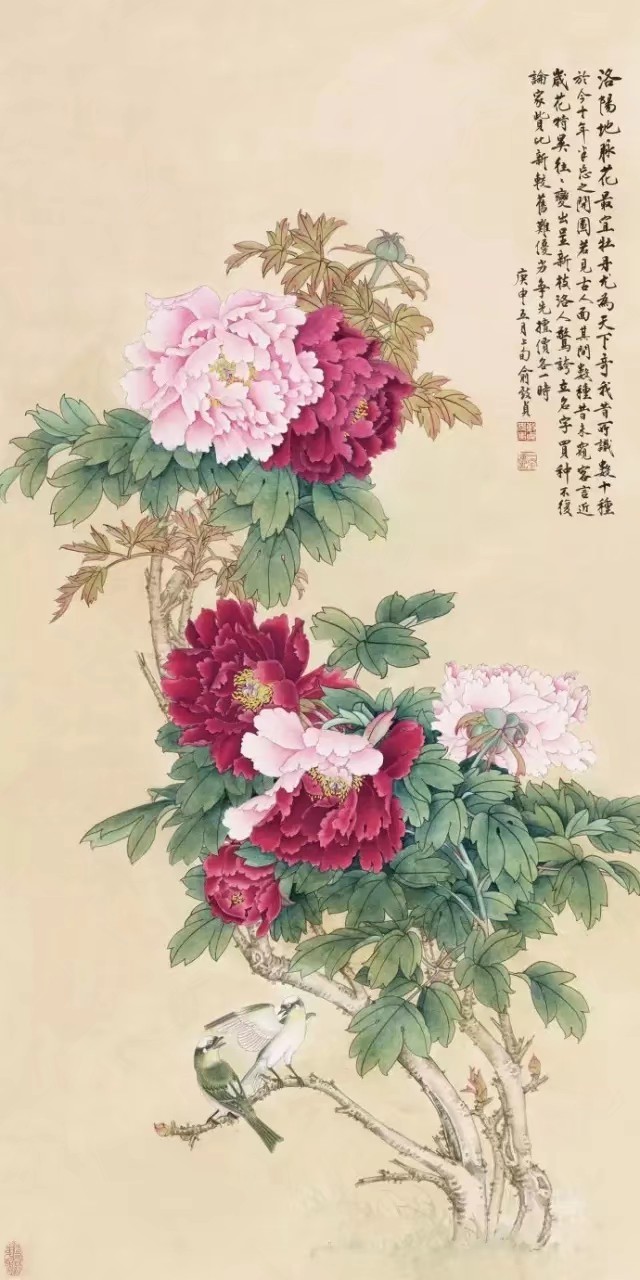 牡丹大师作(鉴赏篇)