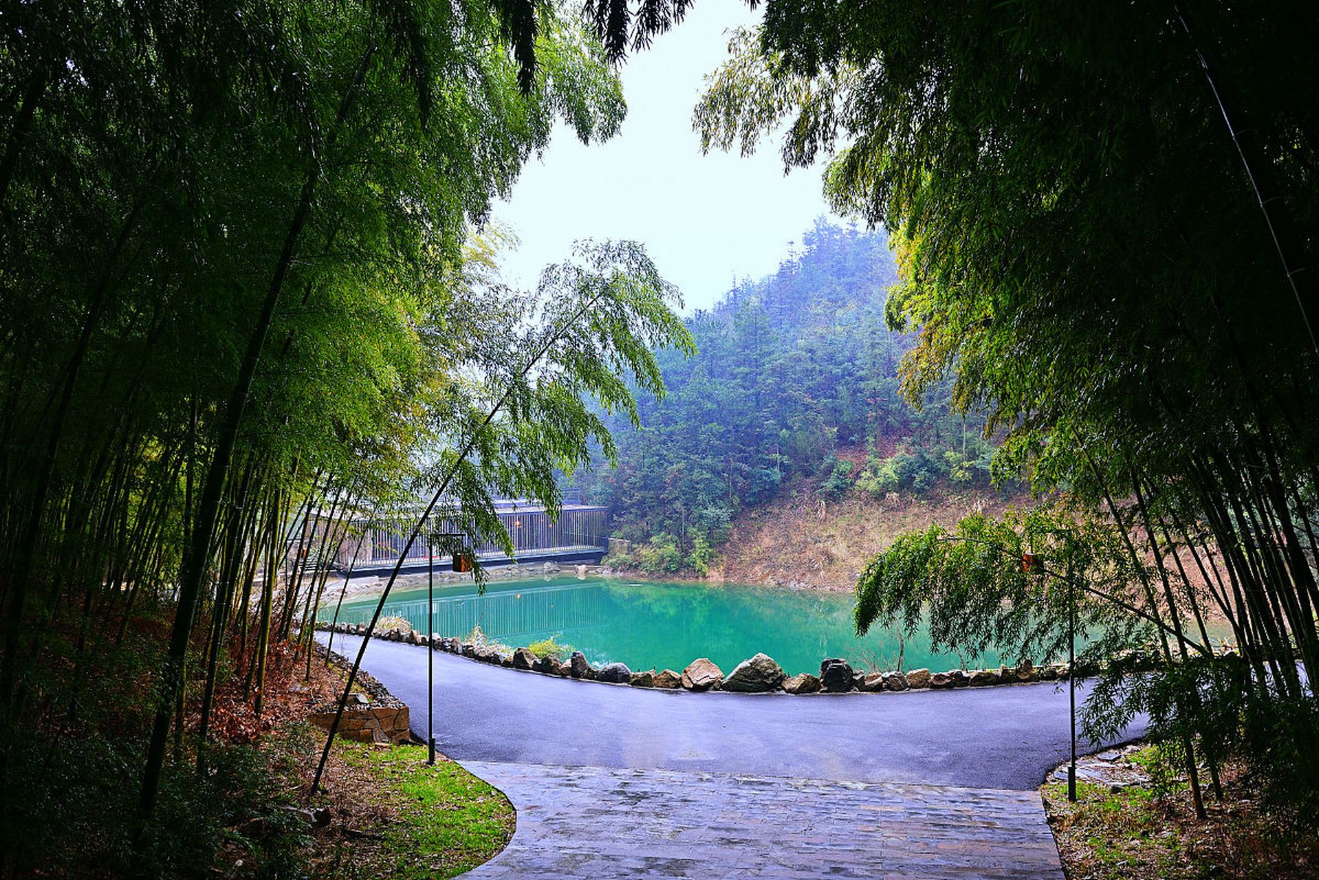 我给大家介绍一个湖北旅游的好去处:三峡竹海生态风景区.