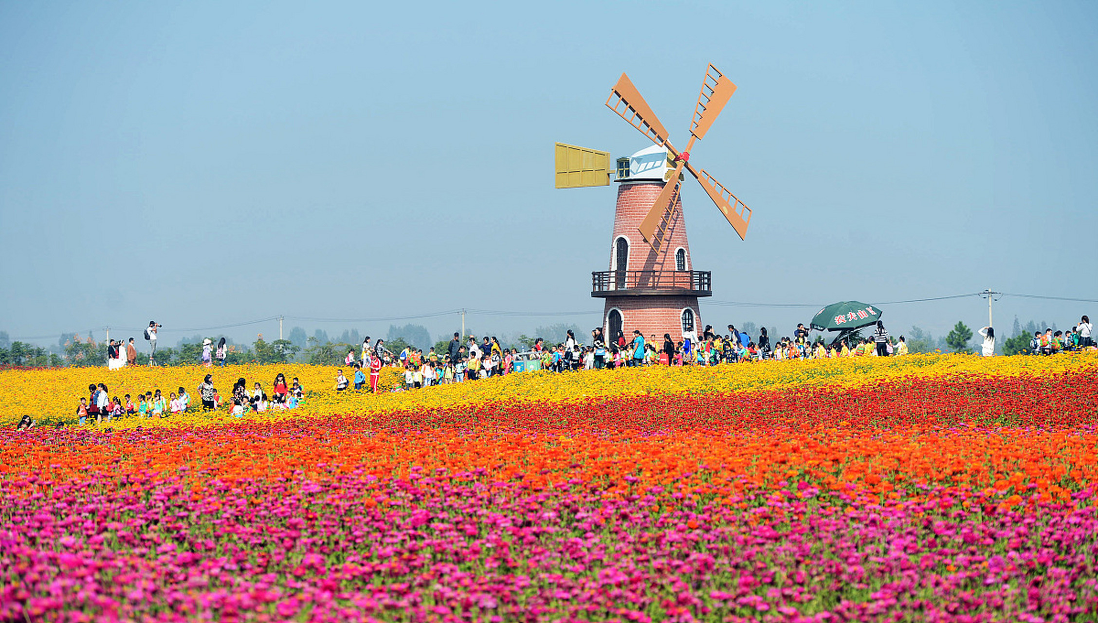 [原文:包头花舞人间