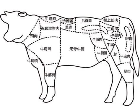 牛肉部位分类及食用方法