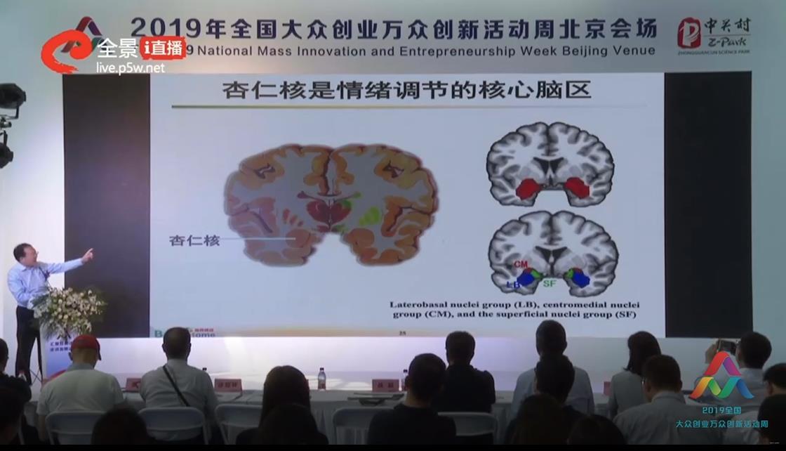 中科院蔣田仔:腦網絡組圖譜使精準定位成為可能