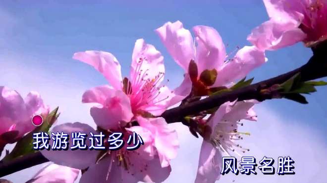 [图]雷佳，一首《难忘桃花江》美丽桃花江，处处诗如画！