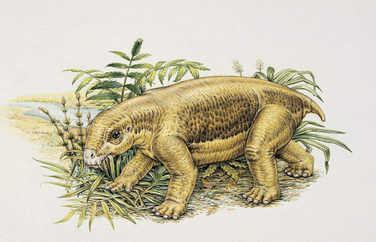 水龙兽作为一种古老的类哺乳动物,也被许多科学家认为,它是地球人所有