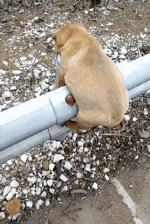 220_328gif 动态图 动图