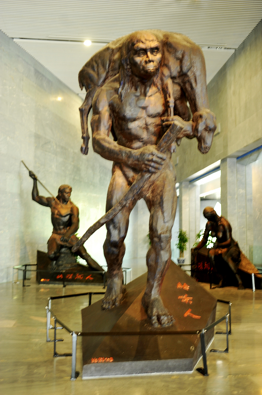 直立人化石遍布非洲,欧洲和亚洲,包括肯尼亚和中国等地!