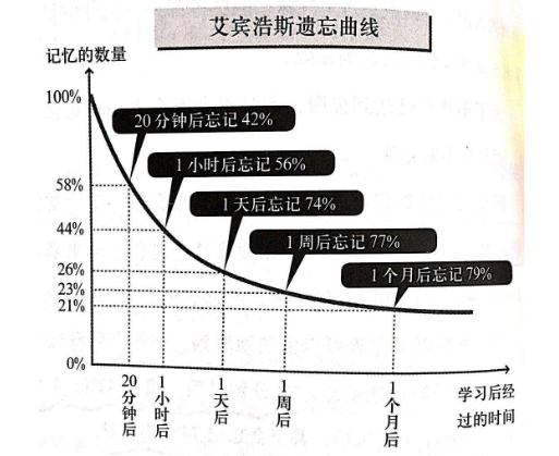 人体记忆遗忘曲线图片