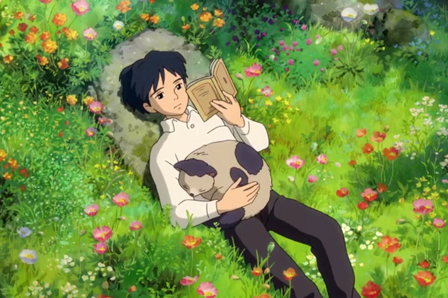 借东西的小人阿莉埃蒂:如果可以,请做阿翔,别做阿春