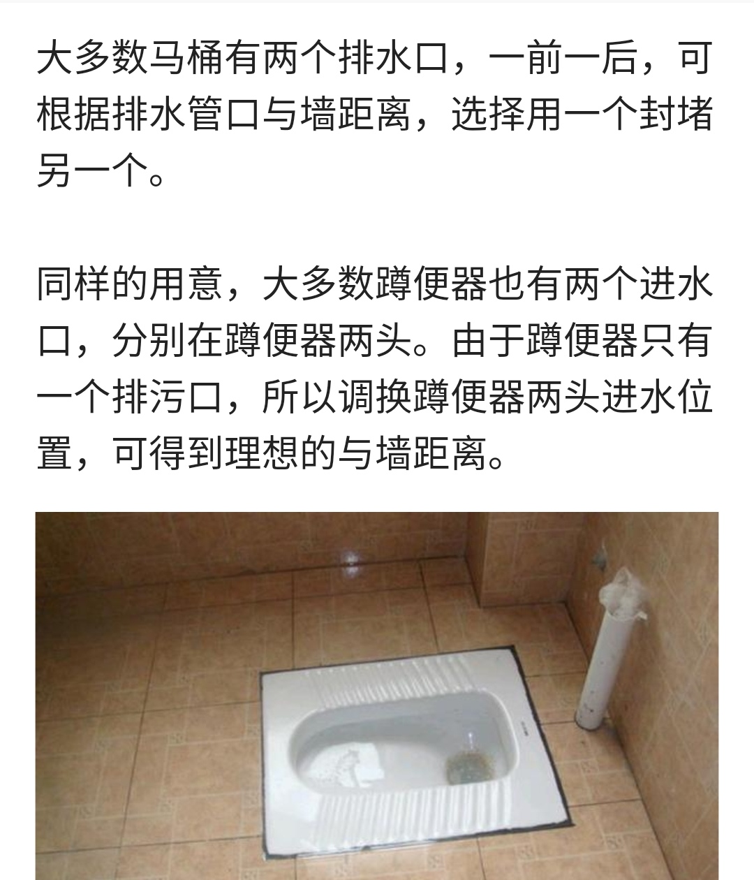 蹲便器前進水vs後進水