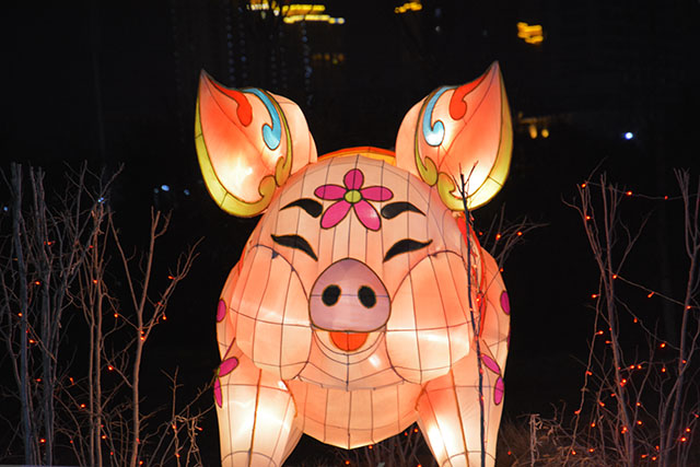 2019年山西运城新年灯展聚焦(一):禹都公园的河津民俗文化