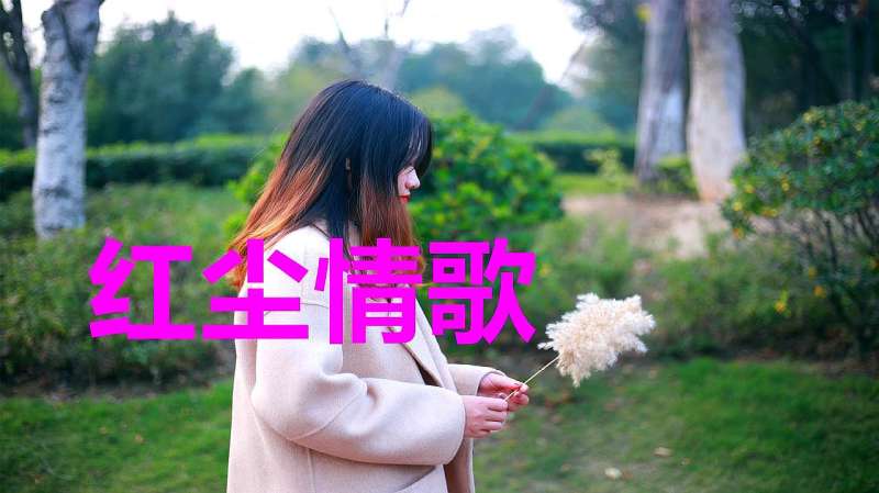 上错花轿嫁对郎片头曲《巧解姻缘天作合》这是