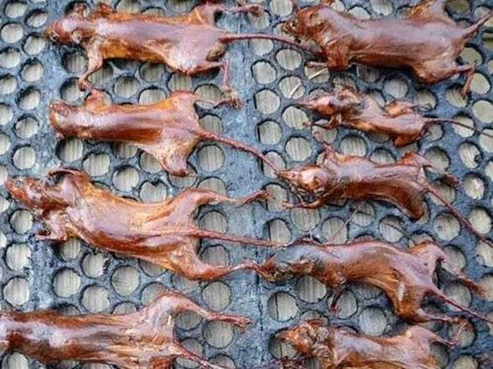 宁化老鼠干,实为田鼠干,系由人工捕捉的田鼠加工制成.