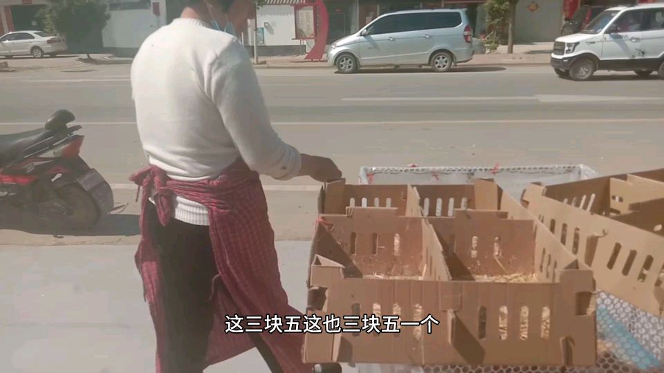 今天去买鸡苗,为什么人家的生意好,听老板娘说话真幽默