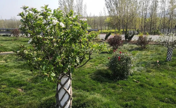 厚植生态优势打好"五城联创"基础