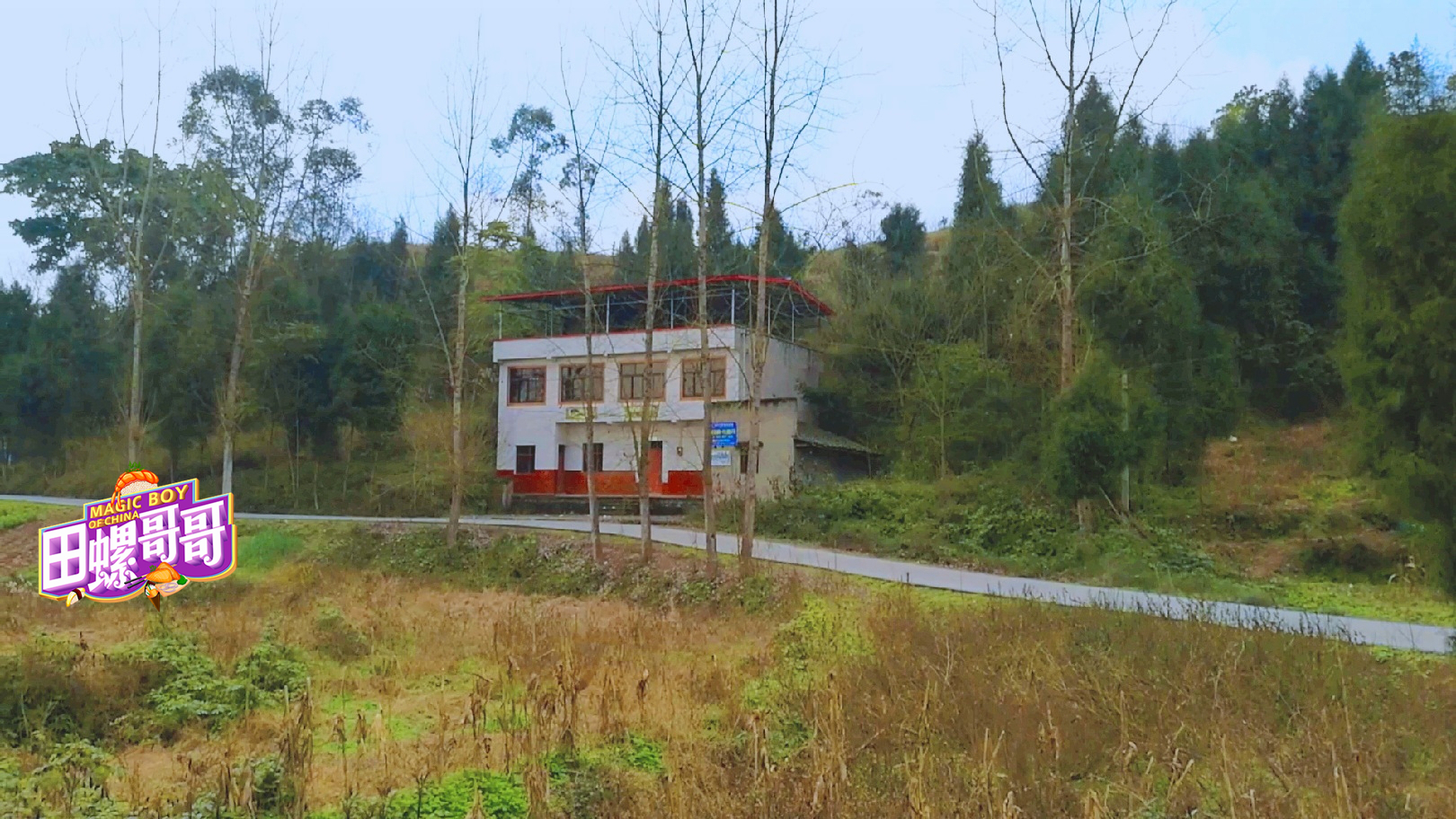 实拍四川一个普通农村,家家户户通水泥路,盖小平房,日子不错!