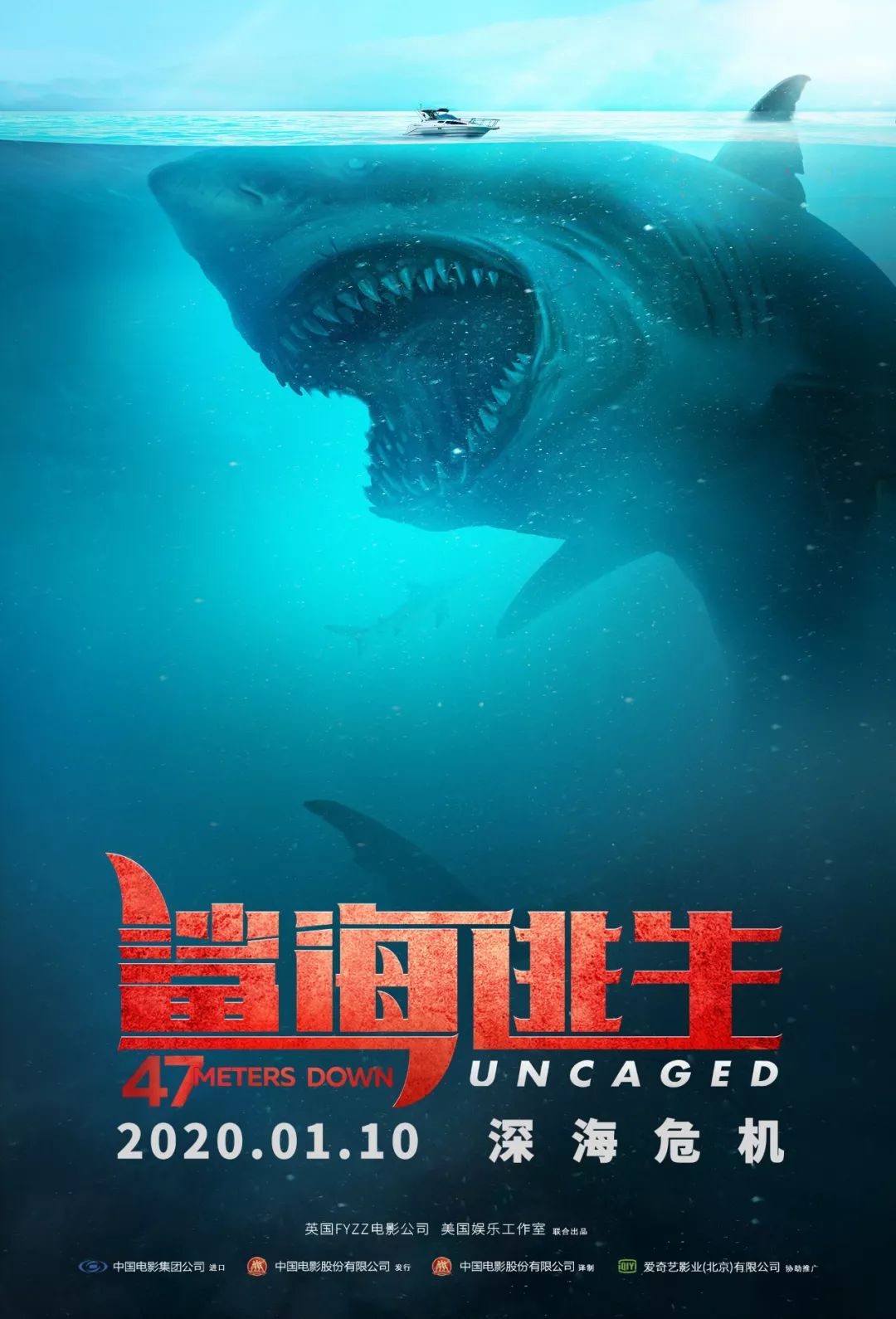 福利|鲨鱼来袭!越刺激越想看是种什么体验?