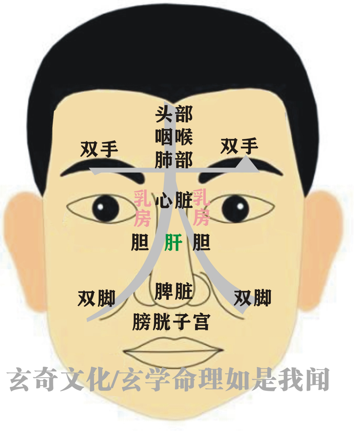 一种几乎失传的面相之法:小人相法