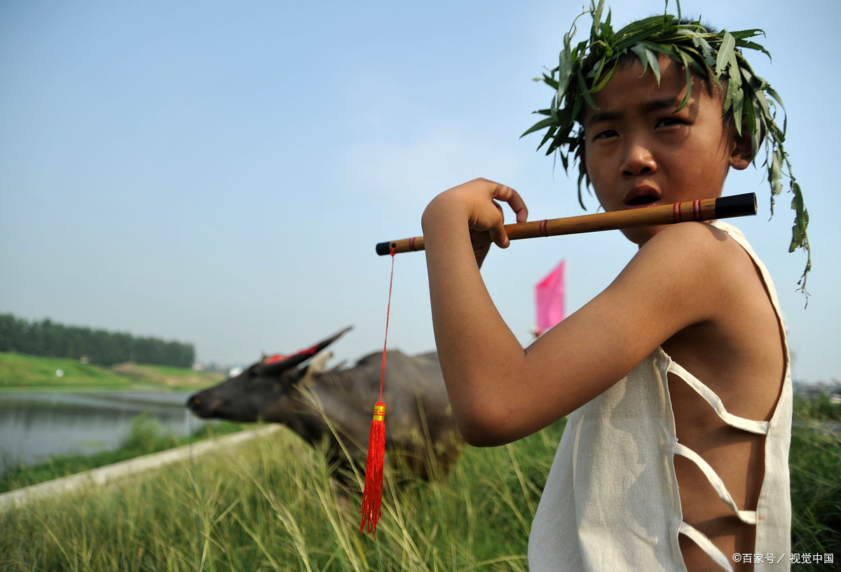 打油诗《春牧归晚》儿童放牧归来早,竹笛横吹一路歌