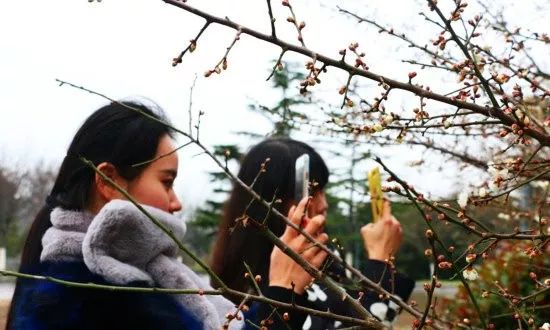 少年之页/董雨畅:总有绿叶开(外两首辅导老师:喻荣春)