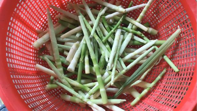 乡村的野菜泥笋