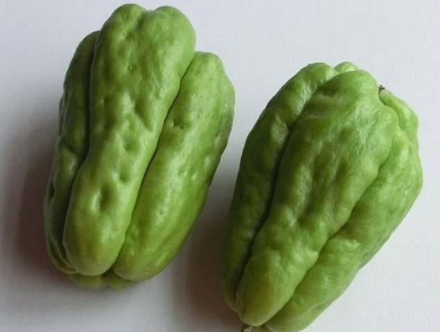 洋丝瓜也称为拳头瓜和福寿瓜,但其真正的学名是佛手瓜,在中国的江南一