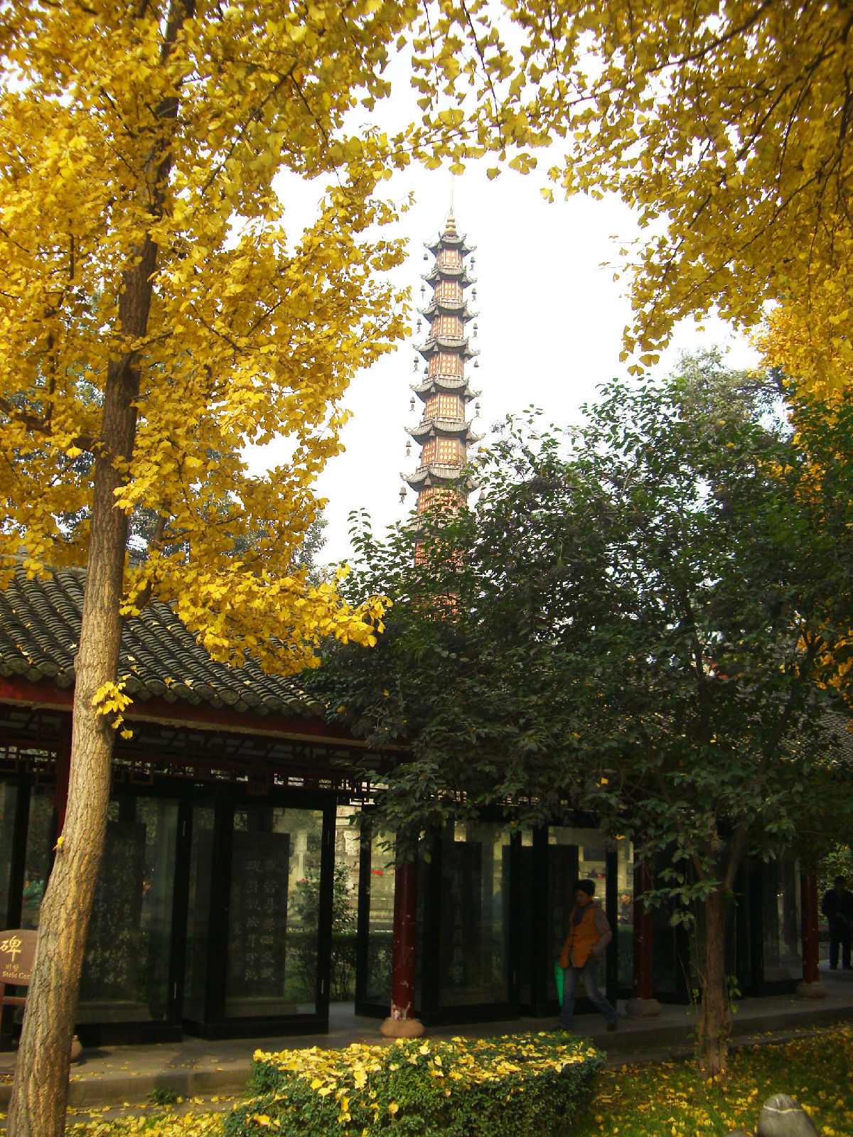 盘点比较冷门的景点,从你所熟知的成都文殊院,厦门大嶝岛谈起