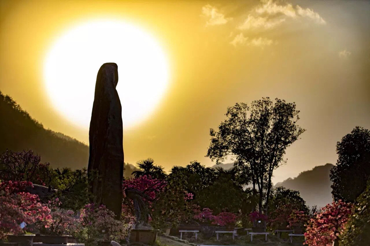 岳西大观园8月对岳西居民免门票