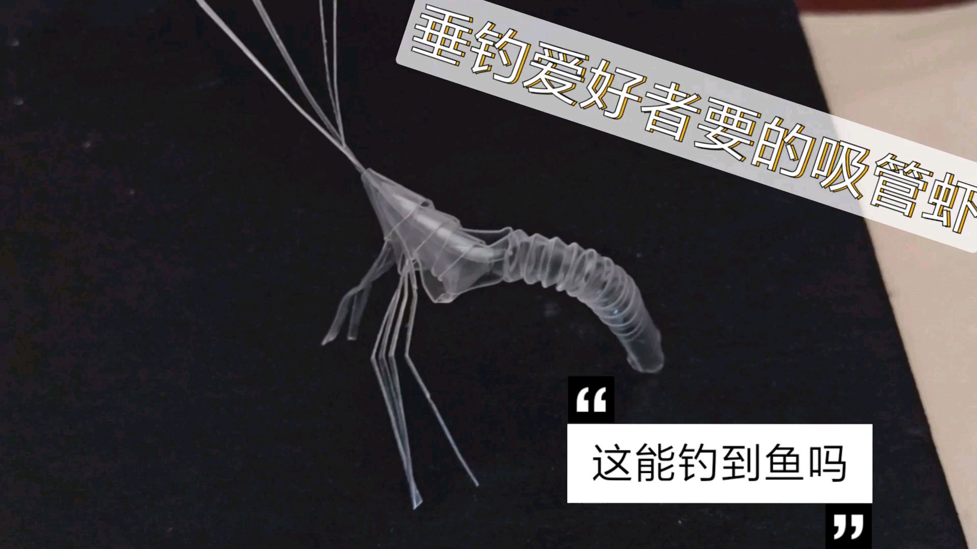 垂钓爱好者要的吸管虾,无剪辑实拍,这能钓到鱼吗