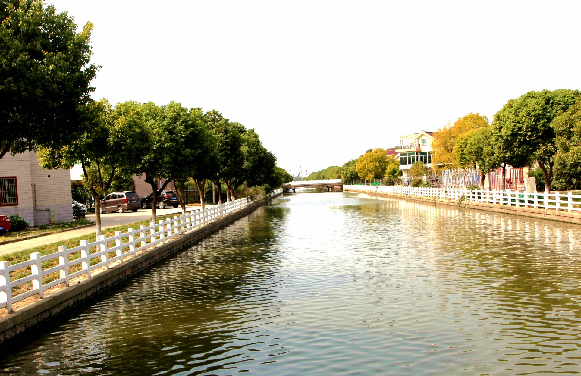 上海市嘉定区安亭镇星明村:既有江南水乡美景,也有破旧村宅