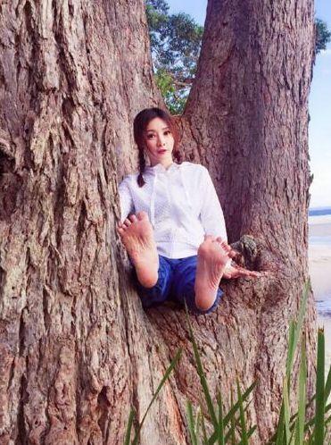 女星爱爬树,柳岩调皮学猴子,赵丽颖剪刀手,最后一位迷糊爱闯祸