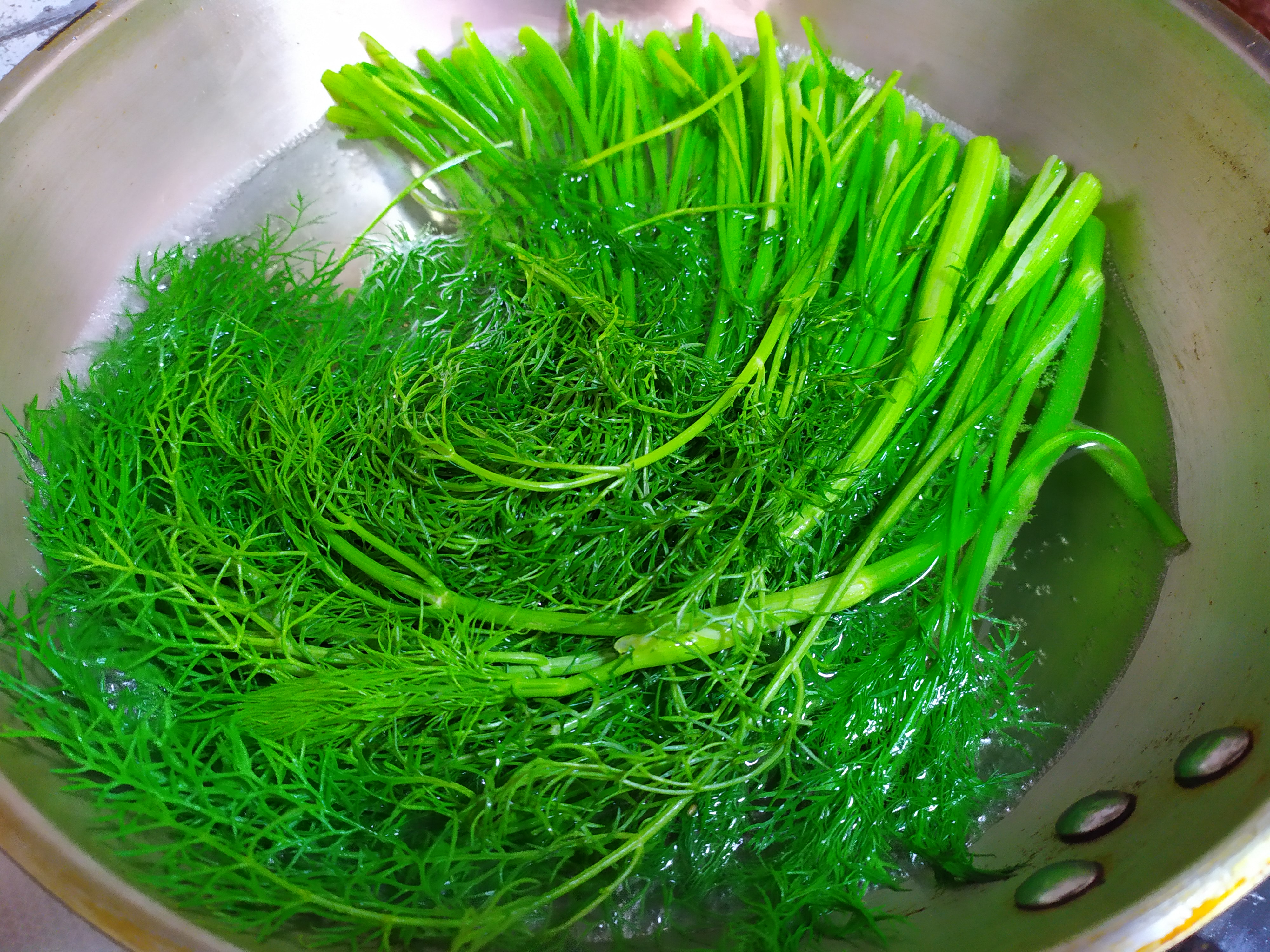 它是菜也是药,入伏吃这馅饺子最好,促食欲助消化,儿子能吃一盘