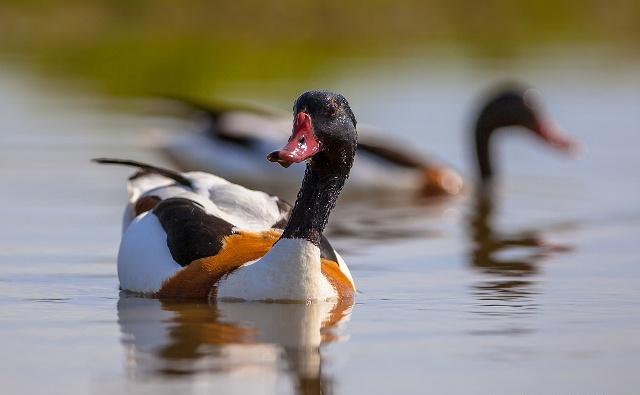 出栏- 优质图片专区