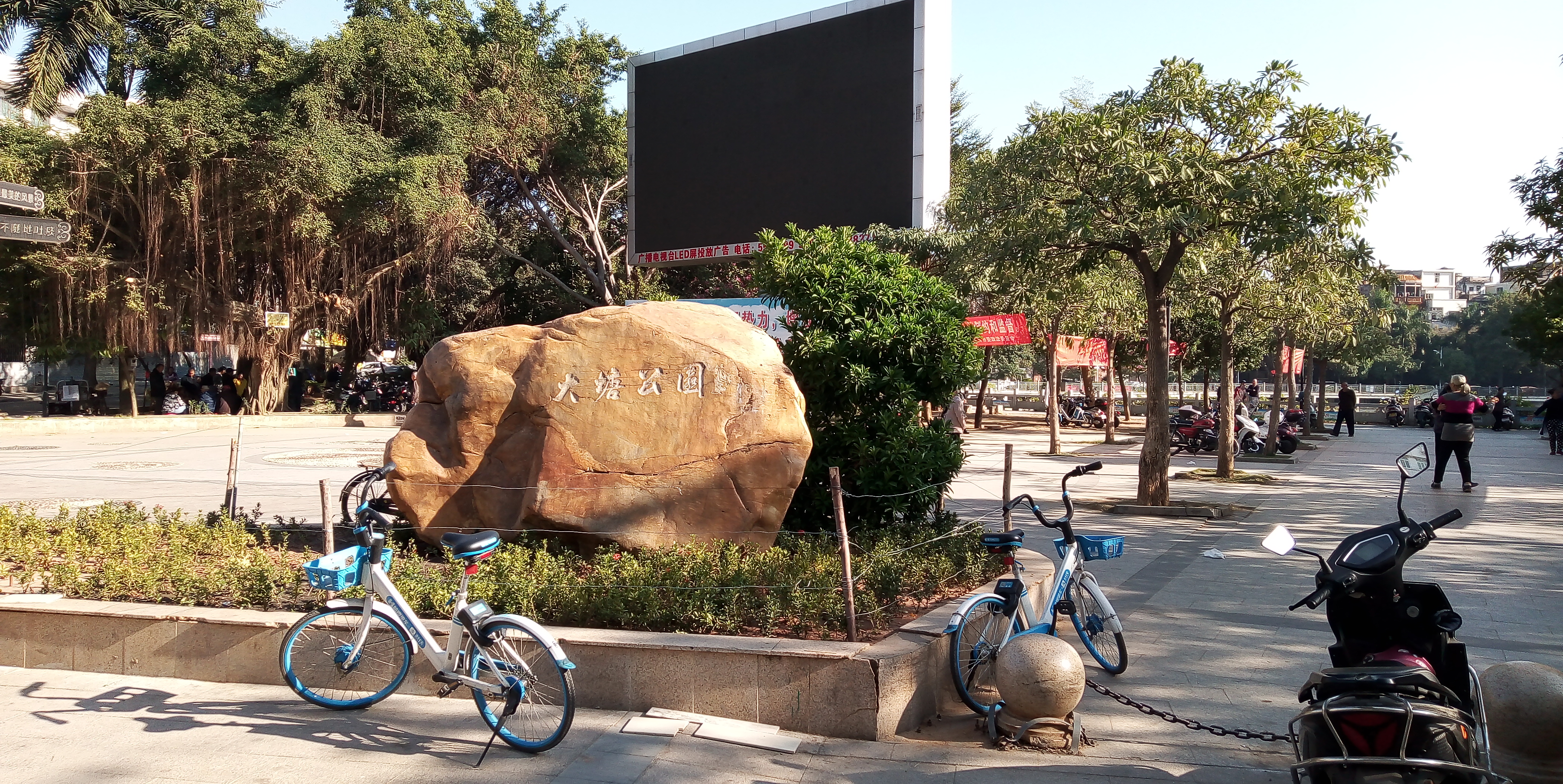 广东吴川市大塘公园实拍,这里湖面波光粼粼,湖边清风送爽